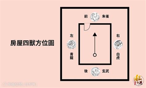 瓦斯爐在虎邊|【風水特輯】瓦斯爐放哪裡最好？有哪些禁忌？風水大師詹惟中詳。